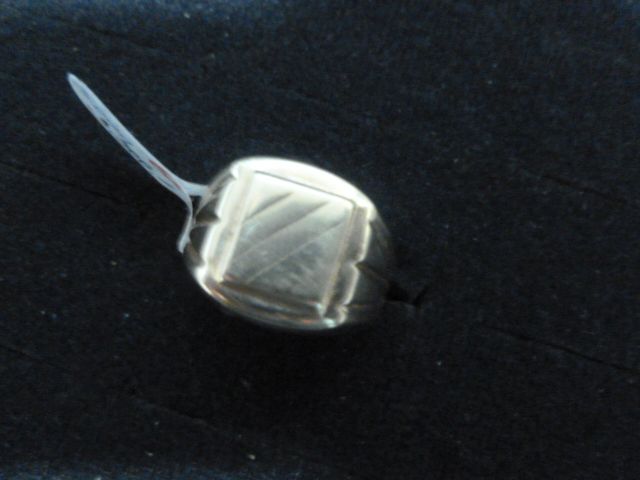 Pánský prsten E.Č. 220 985
